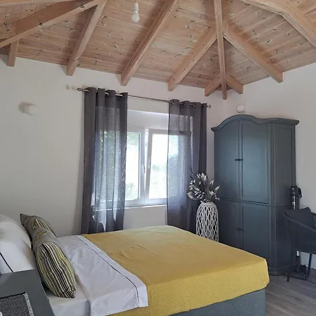 Assini Spitaki *
