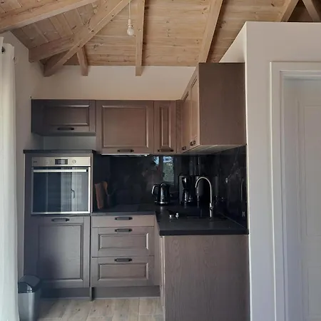 בית נופש Assini Spitaki