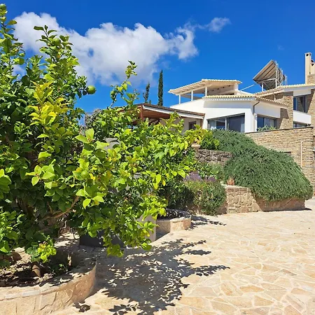 Assini Spitaki